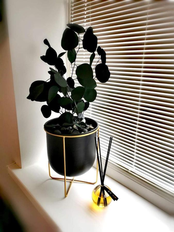 Vyturiai - Nauju Apartamentu Nuoma Sventojoje Šventoji Esterno foto